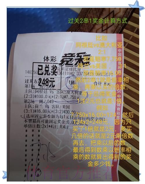 世界杯买球：专业解读热门投注选项