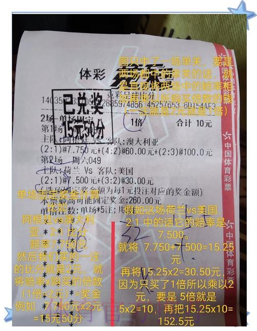 世界杯买球：专业解读热门投注选项